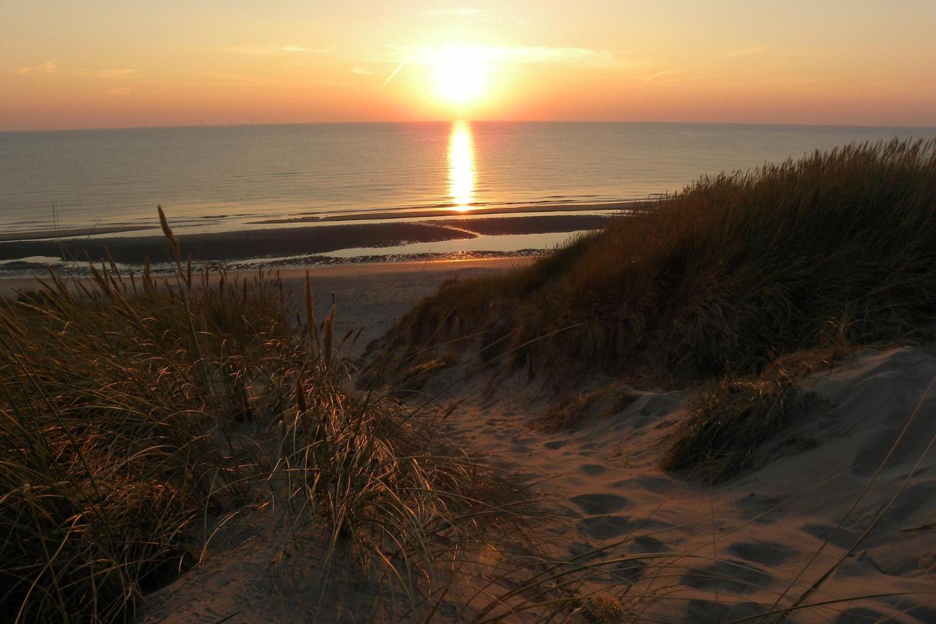 Ammophila 2 Lejlighed Egmond aan Zee Eksteriør billede