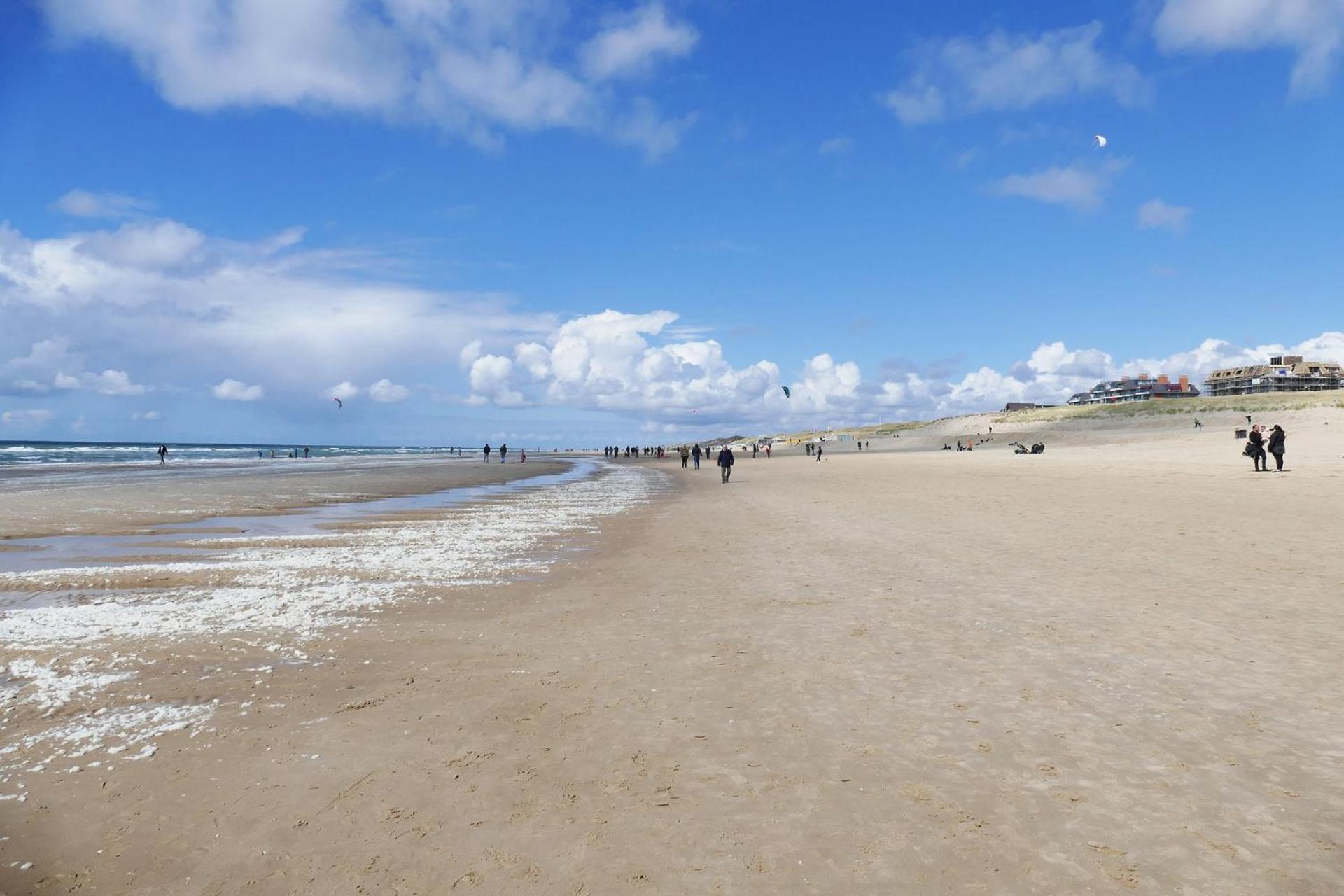 Ammophila 2 Lejlighed Egmond aan Zee Eksteriør billede